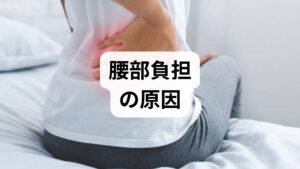 腰痛や腰部負担の背景は単一ではありません。臨床で頻出する原因を整理します。

姿勢と動作の問題：前かがみ姿勢、骨盤後傾、重い物の持ち上げ方の誤り。
筋力・柔軟性のアンバランス：体幹深部（腹横筋・多裂筋）や下肢筋力の低下、ハムストリングや腰背筋の短縮。
長時間座位・同一姿勢：座りっぱなしで腰椎に持続的な圧がかかる。
体重・代謝要因：肥満や糖代謝異常は椎間板や関節に負担を増やす。
既往の外傷・変性疾患：椎間板ヘルニア、脊柱管狭窄症など器質的要因。
まずは問診と簡易評価（立位・座位の写真、前屈・後屈の可動域、立ち上がりテスト）で優先順位をつけます。