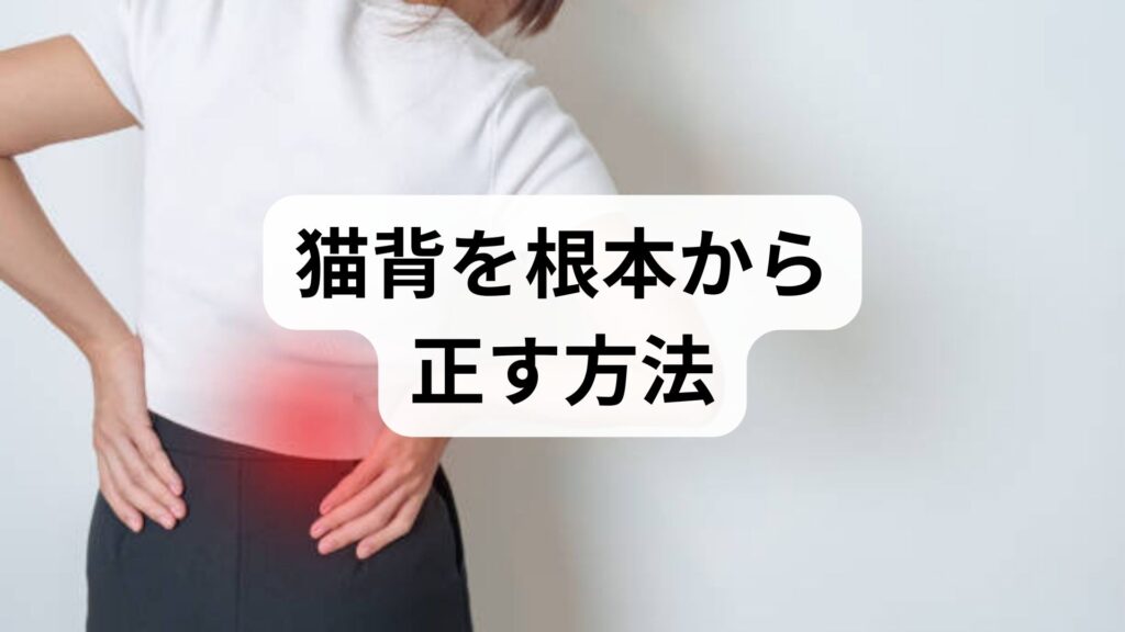 猫背を根本から正す方法｜臨床監修でわかる猫背改善と矯正の実践ガイド