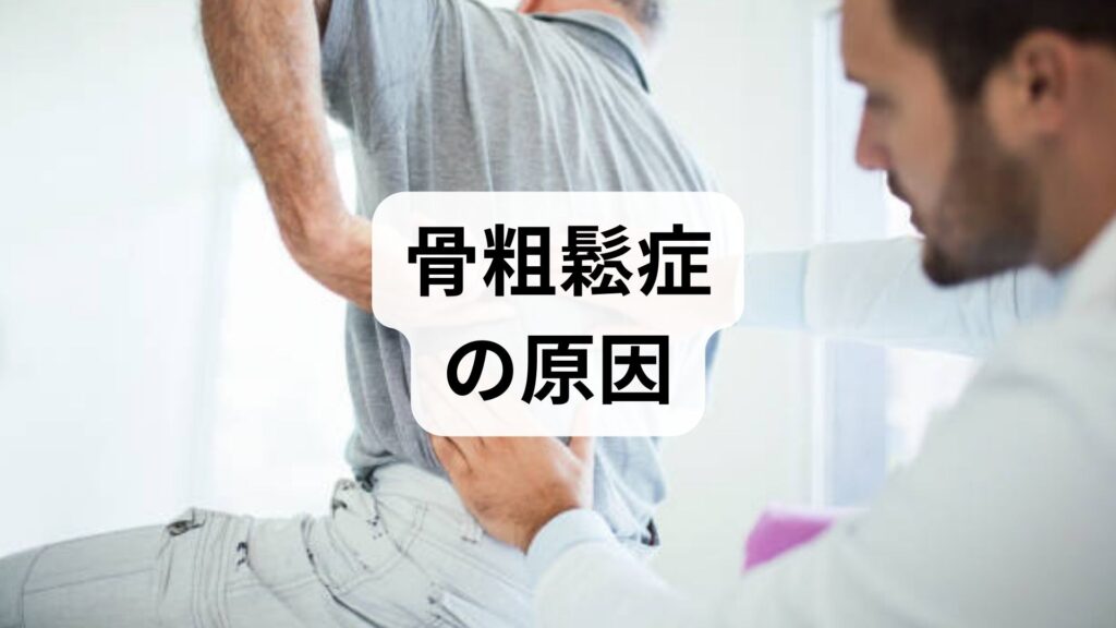 臨床監修｜骨粗鬆症の原因と今日から始める実践的改善プラン