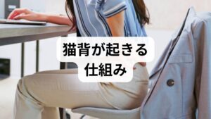 猫背は単なる「姿勢の癖」ではなく、**深層筋（体幹インナーマッスル）の弱化・胸郭の可動性低下・肩甲骨の機能不全・長時間の前傾姿勢（デスクワーク・スマホ）**が複合して起きます。加えて睡眠不足やストレス、運動不足が回復力を下げ、猫背が定着しやすくなります。まずは原因を分類し、優先順位をつけることが猫背改善の第一歩です。