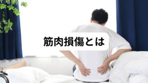 筋肉損傷は筋繊維の断裂や微細損傷を指し、軽度の筋挫傷から部分断裂、完全断裂まで幅があります。スポーツ外傷や過負荷、急激な伸張、外力（打撲）などが主な筋肉損傷の原因です。臨床では疼痛・腫脹・圧痛・機能制限の有無で重症度を評価し、画像検査（超音波・MRI）で断裂の範囲を確認することが重要です。