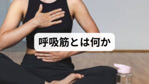 呼吸筋は横隔膜・肋間筋・腹筋群などを指し、換気の主役である横隔膜が中心です。呼吸筋 強化は換気効率の改善、息切れの軽減、運動耐容能の向上、嚥下や発声の安定、慢性疾患の再入院リスク低下に寄与します。特に高齢者や呼吸器疾患のある方、術後患者では呼吸筋の低下が合併症の原因となるため、早期評価と介入が重要です。